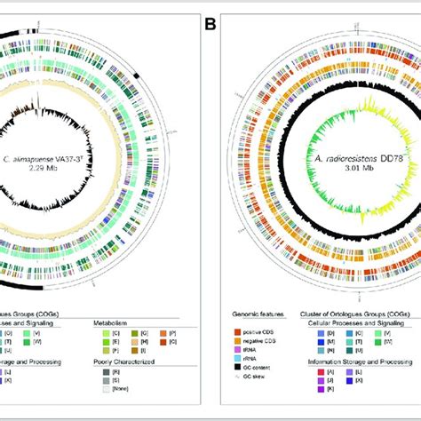 Application Of Genovi Using A Draft Or Complete Bacterial Genome A