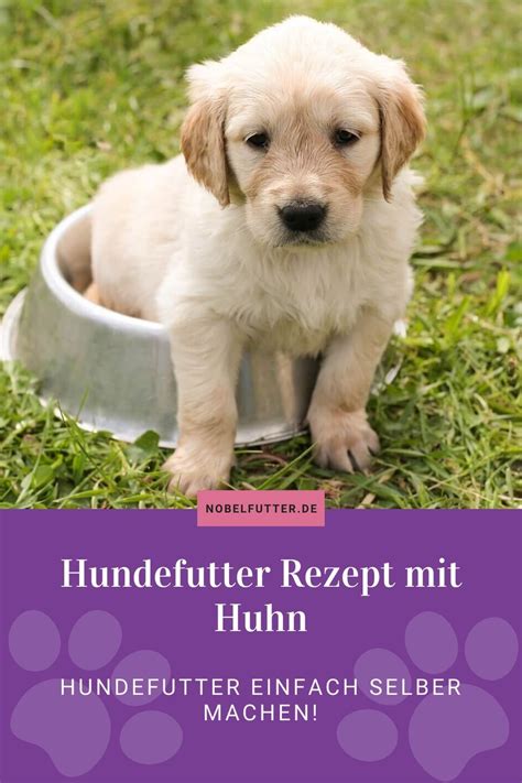 Denkst Du Dar Ber Nach Eigenes Selbstgemachtes Hundefutter Zu Kochen