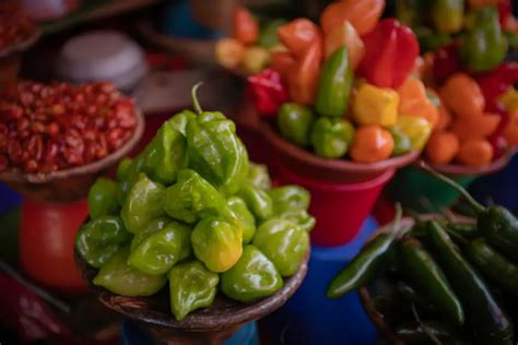 How To Dry Habanero Peppers (Air, Dehydrator, Counter, Sun)