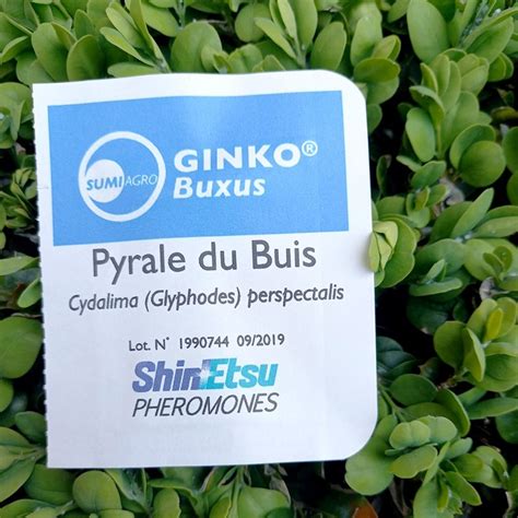 Phéromone longue durée contre la pyrale du buis papillon