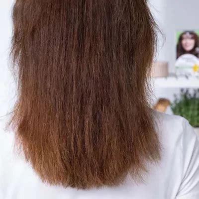 Tratamiento Para Cabello Quebradizo Y Maltratado 2024