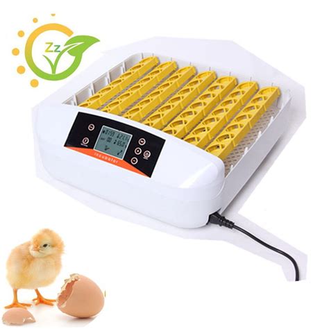 Automatic Eggs Incubator Auto Hatchers Mini Digital Temperature