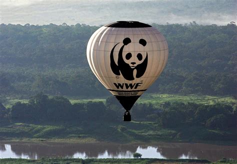 Léphéméride du 11 septembre en 1961 World Wildlife Fund WWF est