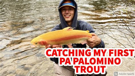 Massive Pa Palomino Caught Pennsylvania Trout Season 2021 Youtube