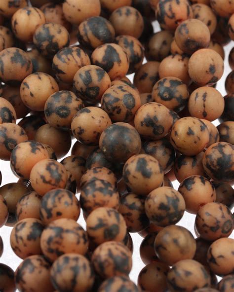 Buri Seed Round Beads 10 To 12 Mm Sold Per Strand Approx 28 Beads