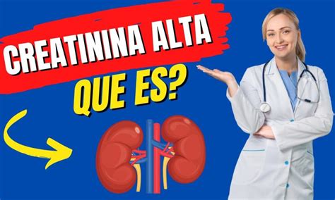 Comprendiendo La Creatinina Baja Causas Síntomas Y Cómo Abordar Este Problema Es Nutrición