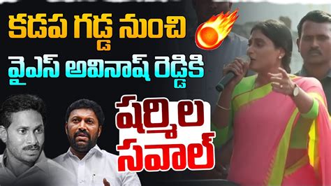 షరమల సవల Ys Sharmila Open Challenge To Ys Avinash Reddy In Kadapa