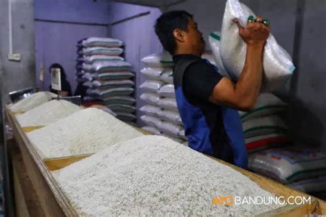 Bansos Beras 10 Kg Kembali Dicairkan Untuk 21 35 Juta KPM Cek Nama