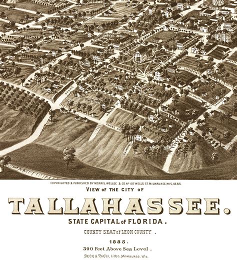 Tallahasssee Florida In 1885 Bird S Eye View Map Aerial Panorama Vintage Antique