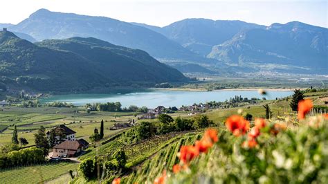 hotel seeperle direkt  kalterer   der sudtiroler weinstrasse