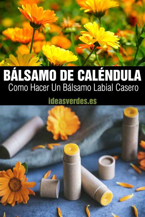 C Mo Hacer Un B Lsamo Labial De Cal Ndula El Secreto Para Unos Labios