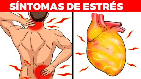 13 Síntomas De Estrés Crónico En Tu Cuerpo Y Cómo Remediarlo Youtube