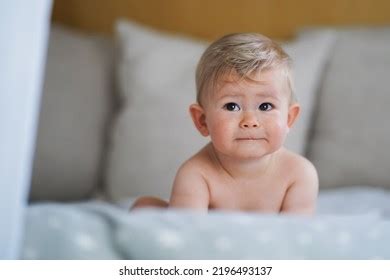 Super Sweet Naked Almost One Year Stock Photo 2196493137 Shutterstock