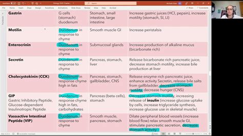 Biology 2020 Chapter 23 Digestive System: Duodenal Hormones (Video 13) - YouTube