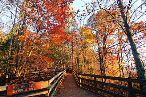 Fall in Blue Ridge | The Best Things to Do in Blue Ridge, Georgia