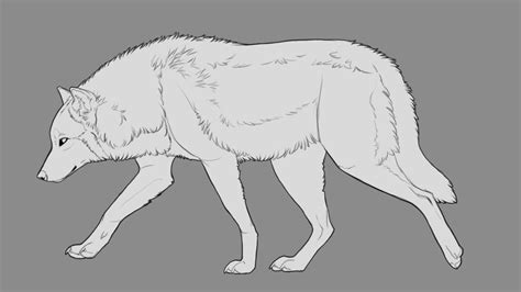 Walking Wolf lineart by KFCemployee | Wolf sketch, Wolf drawing, Wolf running