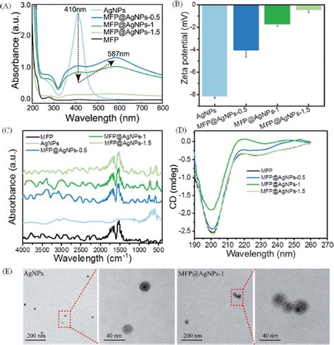 Characterization Of Mfp Agnps Conjugates A Uv Vis Spectra B Zeta