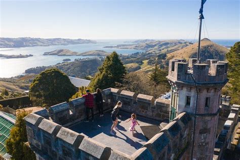 Tour Of Larnachs Castle And Wildlife Cruise On Otago Harbour Dunedin