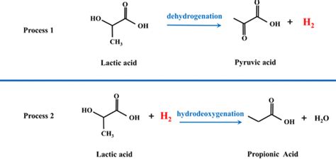 Pyruvic Acid To Lactic Acid