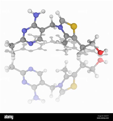 Vitamin B Molecular Model Of Thiamine C H N O S Also Called