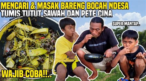 CARI DAN MASAK BARENG SAMA BOCAH DESA TUMIS TUTUT SAWAH PETE PEDAS