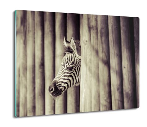 Szklana Splashback Druk Zebra Ogrodzenie X Artprintcave