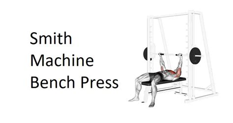 Smith Machine Bench Press A Comprehensive Guide To Technique Benefits