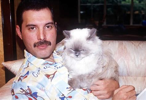 Freddie Mercury Loved Cats More Than Anything, Now His Hidden Photos ...