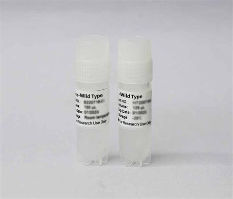 Wild Type Cell Line Vitro Biotech