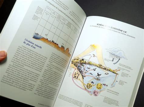 Le Guide illustré de lécologie Bernard Fischesser et Marie France