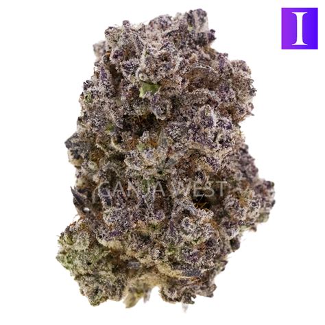 Crystal Palace Craft Indica Ganja West Online Dispensary Shop