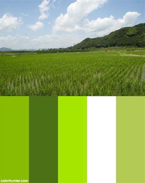 Field Of Green Color Palette Green Colour Palette Green Color