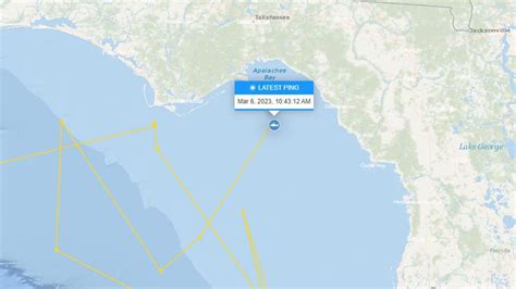 11 Foot Great White Shark Maple Pings 43 Miles Off The Florida Coast