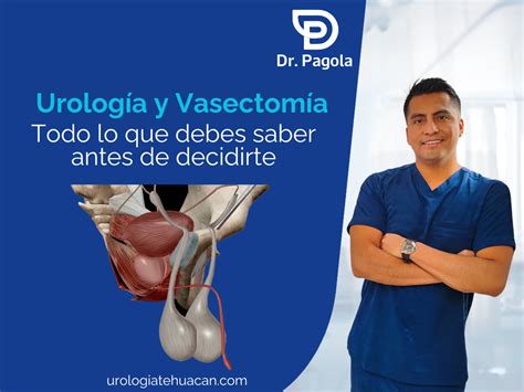 Urología Y Vasectomía Todo Lo Que Debes Saber Antes De Decidirte