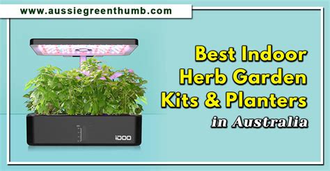 Best Indoor Herb Garden Kits And Planters In Australia