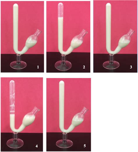 Cellular Respiration Lab Online Lab Oer Commons