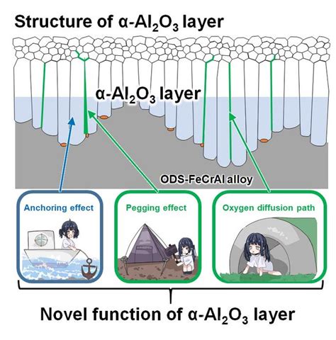 Figure 2. The mechanism by wh [IMAGE] | EurekAlert! Science News Releases