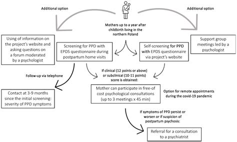 Frontiers Post Partum Depression From Clinical 44 Off