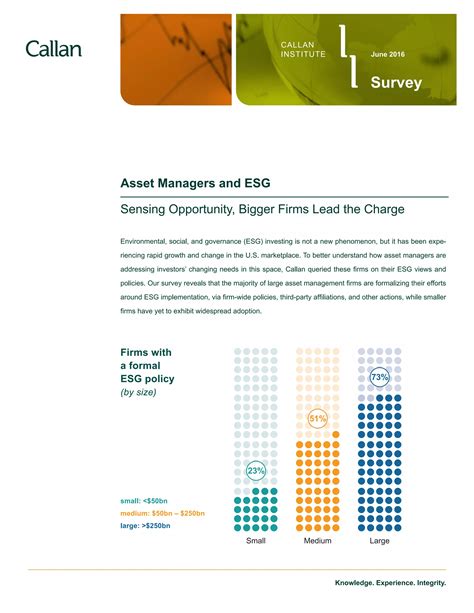 Asset Managers And Esg Pdf