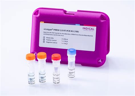 Rt Pcr Kit