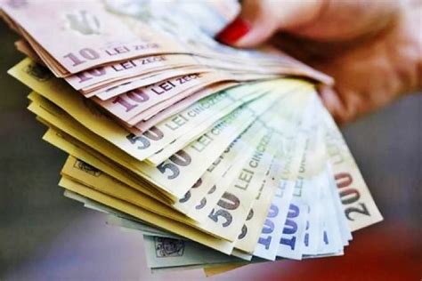 Se dau bani de la stat câte 25 000 de euro pentru acești români Ce