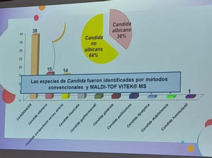 Infecci N F Ngica En El Paciente Con Covid Y En Otros Pacien