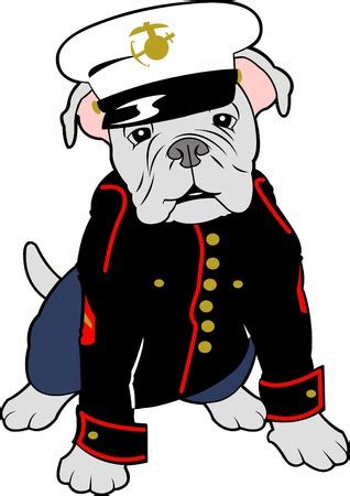 How Did the English Bulldog Become the Marine Corps Mascot? - Cedar ...