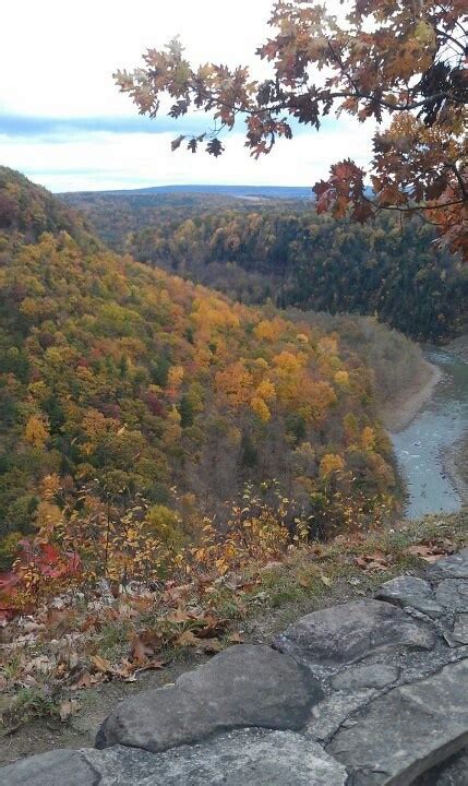 a bench overlooking a river surrounded by trees in the fall season with ...