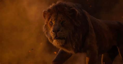 Beyonc Says Simba In Live Action Lion King Teaser Trailer