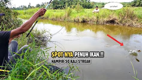 Mancing Di Sungai Kecil Yang Jarang Di Pancing Pemancing Ini Dapat