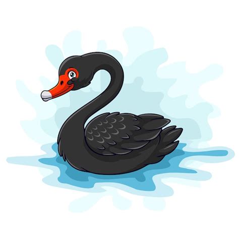 Cisne Negro Divertido De Dibujos Animados Aislado Sobre Fondo Blanco