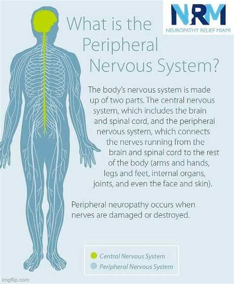 Qué es la Neuropatía Sensorial Neuropathy Relief Miami