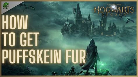 Hogwarts Legacy How to get Puffskein Fur - YouTube