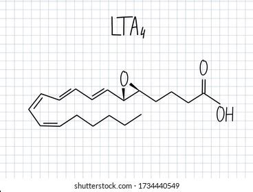 Leukotriene A Lta Molecule Skeletal Formula Stock Vector